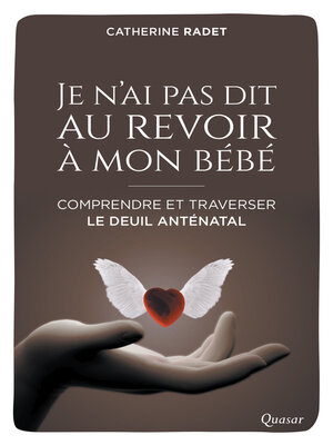 cover image of Je n'ai pas dit au revoir à mon bébé